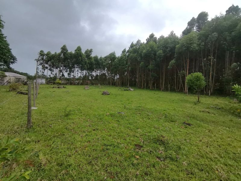 0 Bed Vacant Land in Mzingazi for Sale - Photo 6