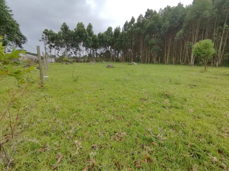 0 Bed Vacant Land in Mzingazi for Sale - Photo 7
