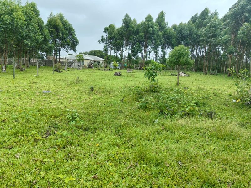 0 Bed Vacant Land in Mzingazi for Sale - Photo 8