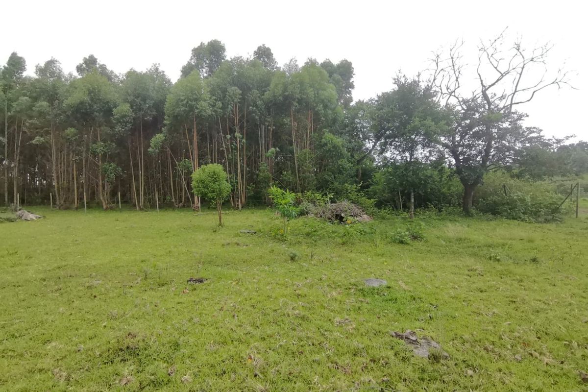 0 Bed Vacant Land in Mzingazi for Sale - Photo 3