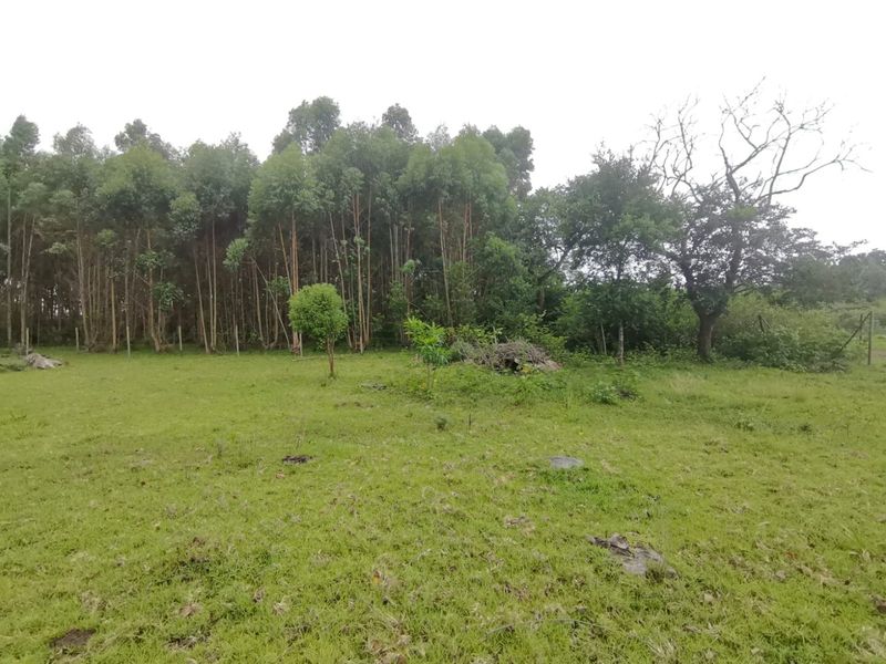 0 Bed Vacant Land in Mzingazi for Sale - Photo 3