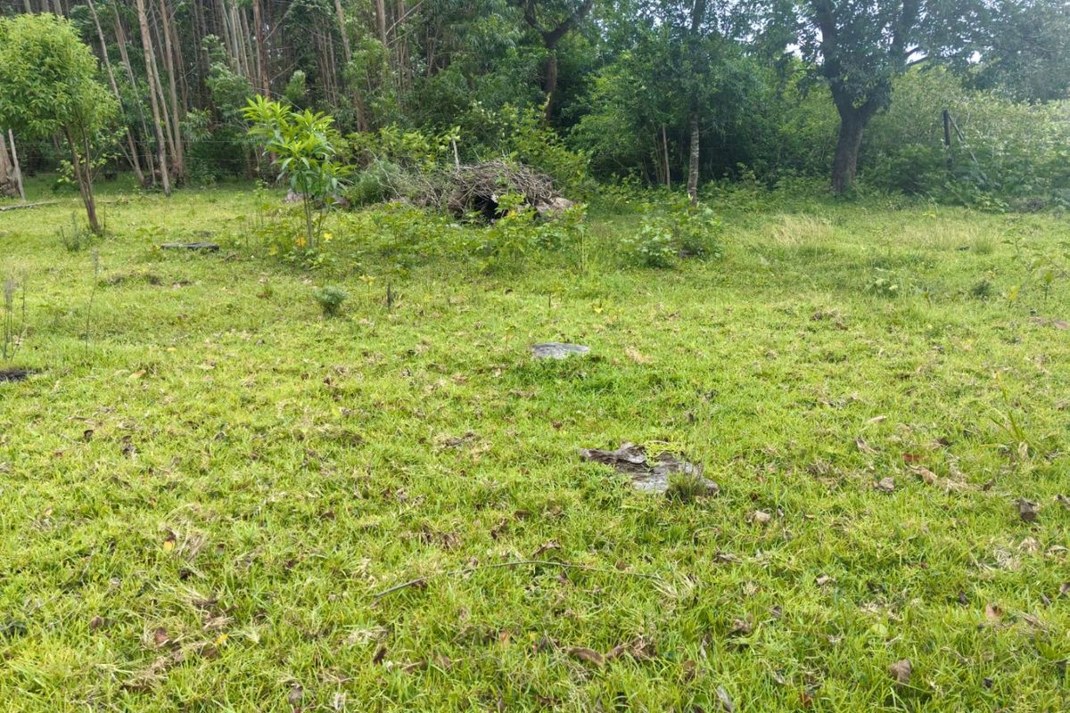 0 Bed Vacant Land in Mzingazi for Sale - Photo 5