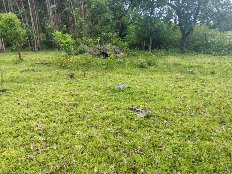 0 Bed Vacant Land in Mzingazi for Sale - Photo 5