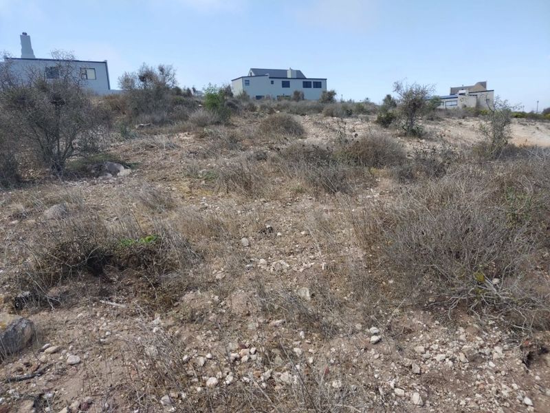 Prime 611m2 North-Facing Stand with Panoramic Bay Views - Photo 2