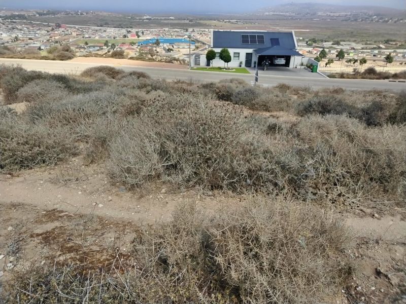 Prime 611m2 North-Facing Stand with Panoramic Bay Views - Photo 3