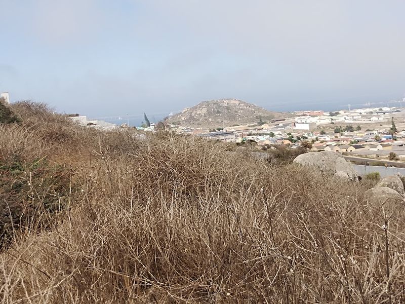 Build Your West Coast Legacy at 79 Hoogland Crescent - Photo 2