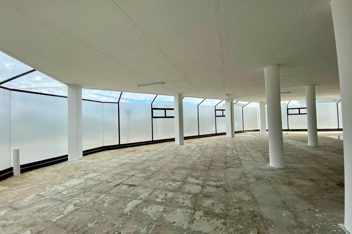 A large, open-plan commercial space featuring structural columns, frosted glass perimeter windows, and unfinished concrete flooring, offering a blank canvas for custom fit-out.