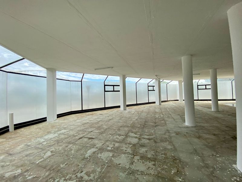 A large, open-plan commercial space featuring structural columns, frosted glass perimeter windows, and unfinished concrete flooring, offering a blank canvas for custom fit-out.