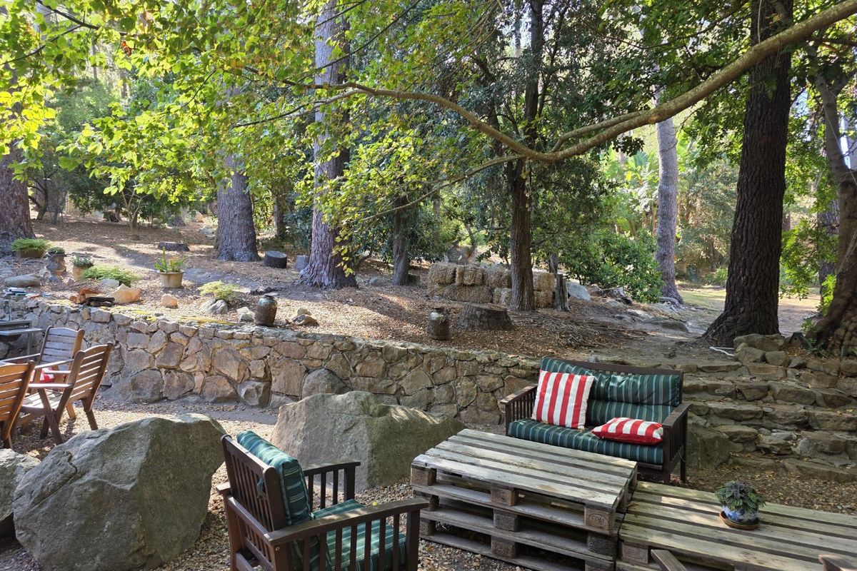 Furnished Forest Retreat - Photo 2