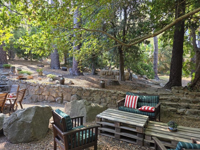 Furnished Forest Retreat - Photo 2