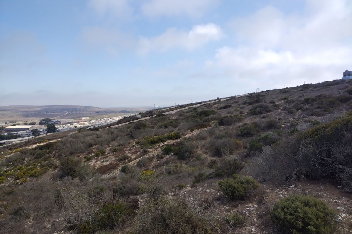 Your West Coast Sanctuary - Photo 2