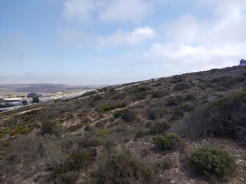 Your West Coast Sanctuary - Photo 2