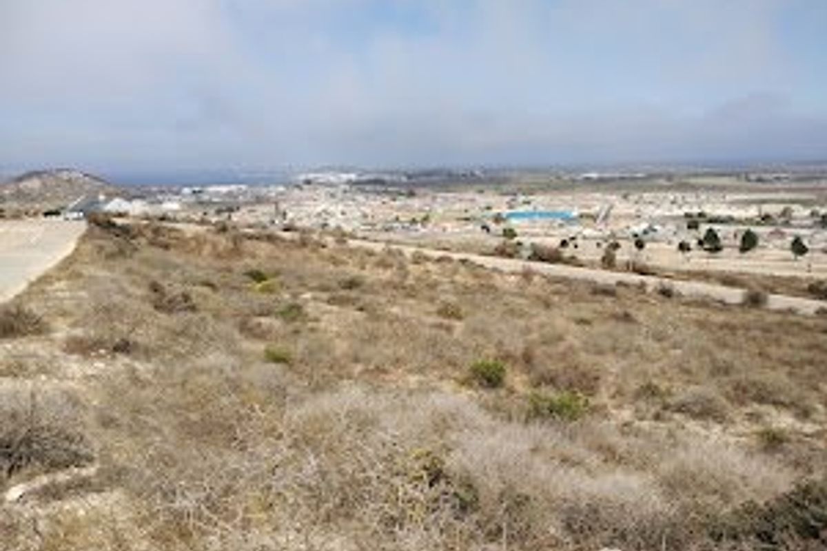 Your West Coast Sanctuary - Photo 4