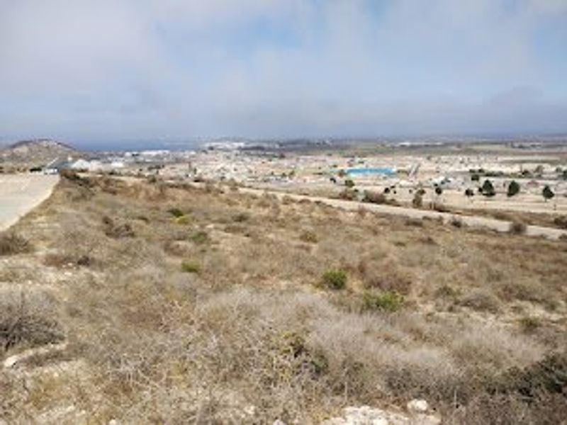 Your West Coast Sanctuary - Photo 4