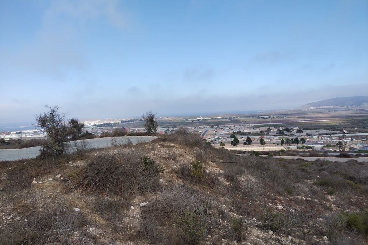 Your West Coast Sanctuary - Photo 3