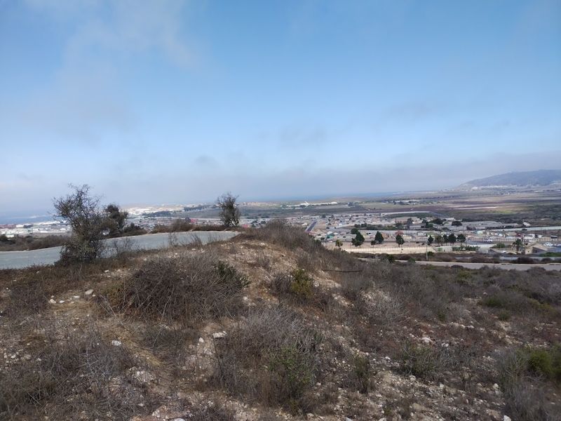 Your West Coast Sanctuary - Photo 3