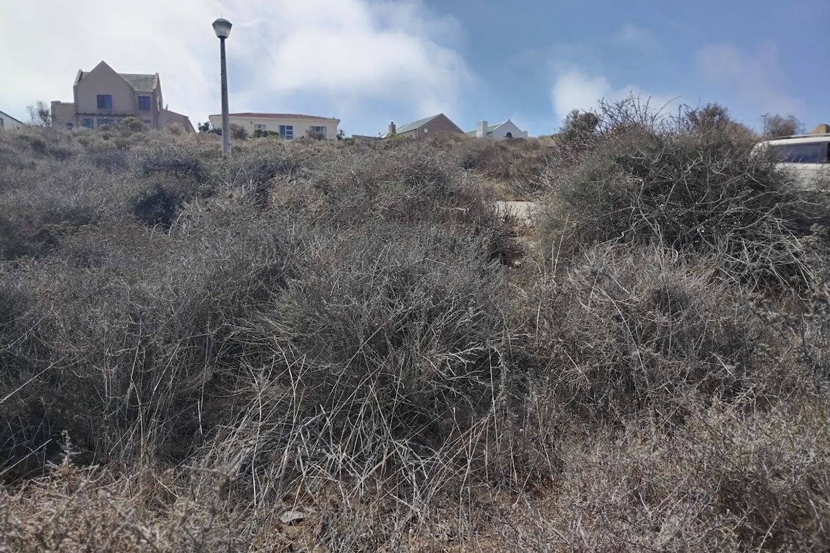 Beautiful views from this vacant stand - Photo 5