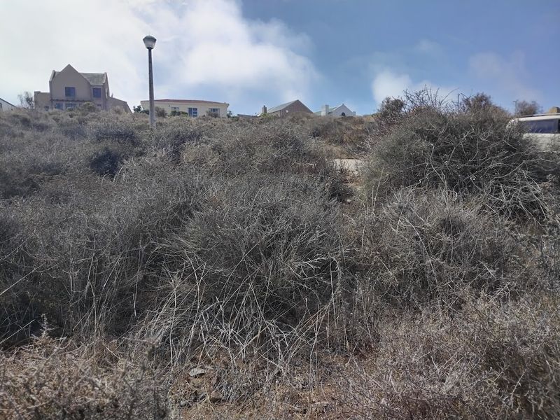 Beautiful views from this vacant stand - Photo 5