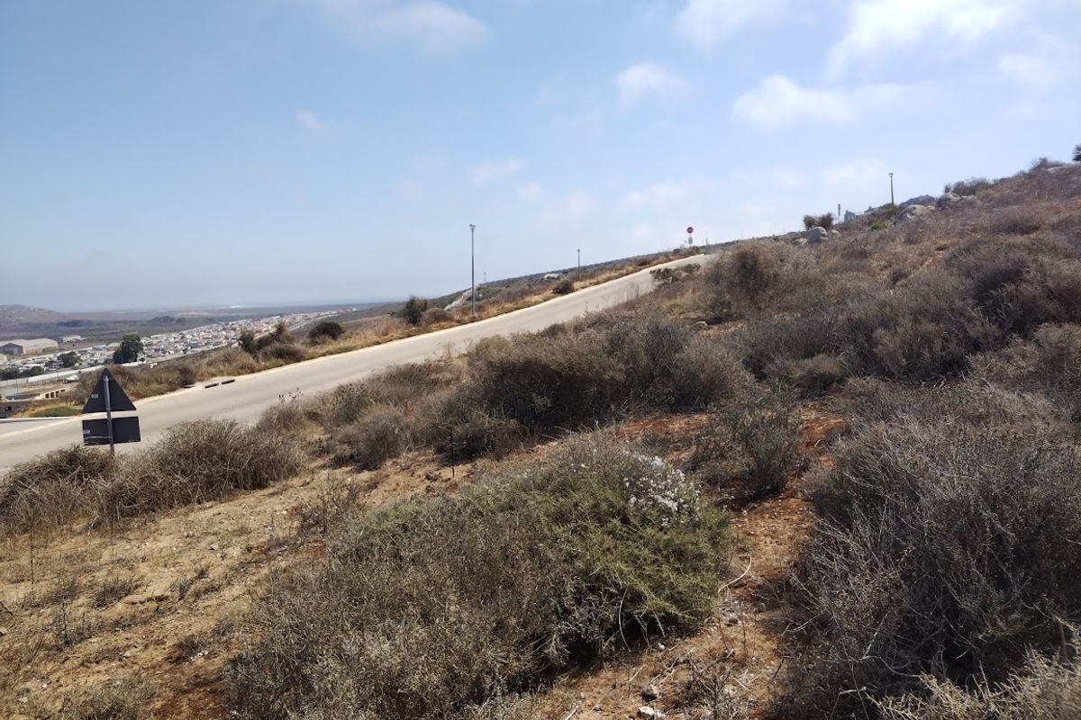 Beautiful views from this vacant stand - Photo 3