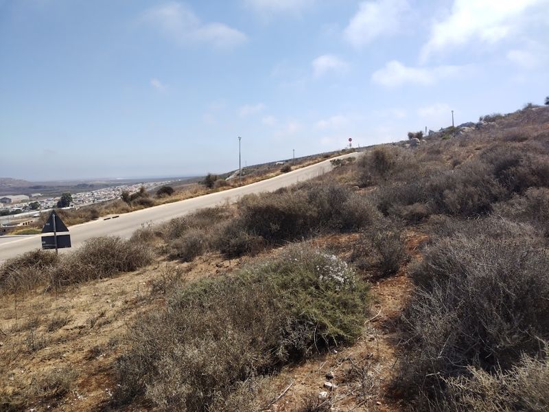 Beautiful views from this vacant stand - Photo 3