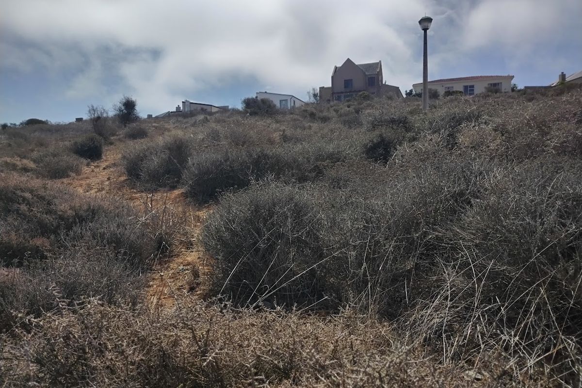 Beautiful views from this vacant stand - Photo 4