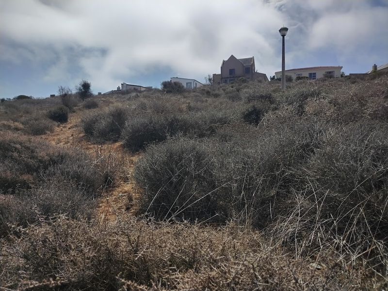 Beautiful views from this vacant stand - Photo 4