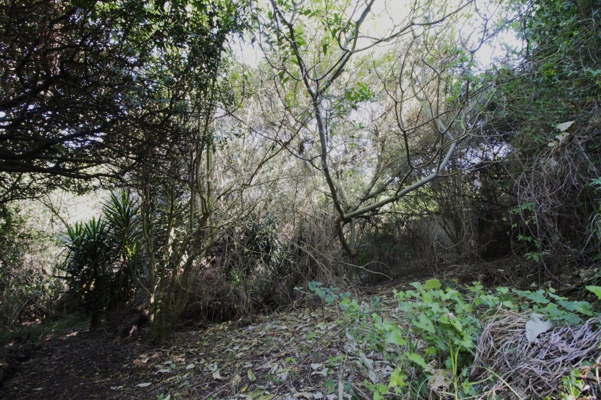 Embrace a peaceful, outdoor-centric lifestyle - Photo 2