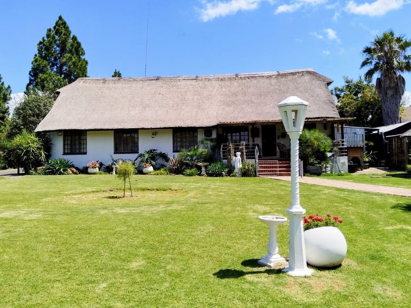 A charming single-story house featuring a traditional thatched roof, white exterior walls, and a well-maintained front garden with a paved walkway.