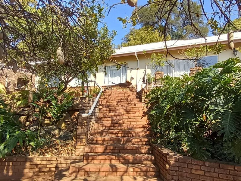 Tranquil Family Home Near Magalies Views - Photo 9