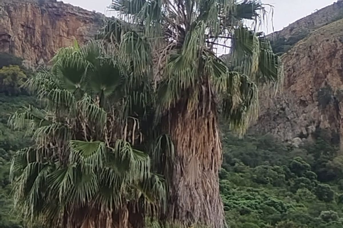 Beautifull stand with Mountain and Dam Views. - Photo 5