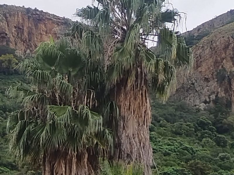 Beautifull stand with Mountain and Dam Views. - Photo 5