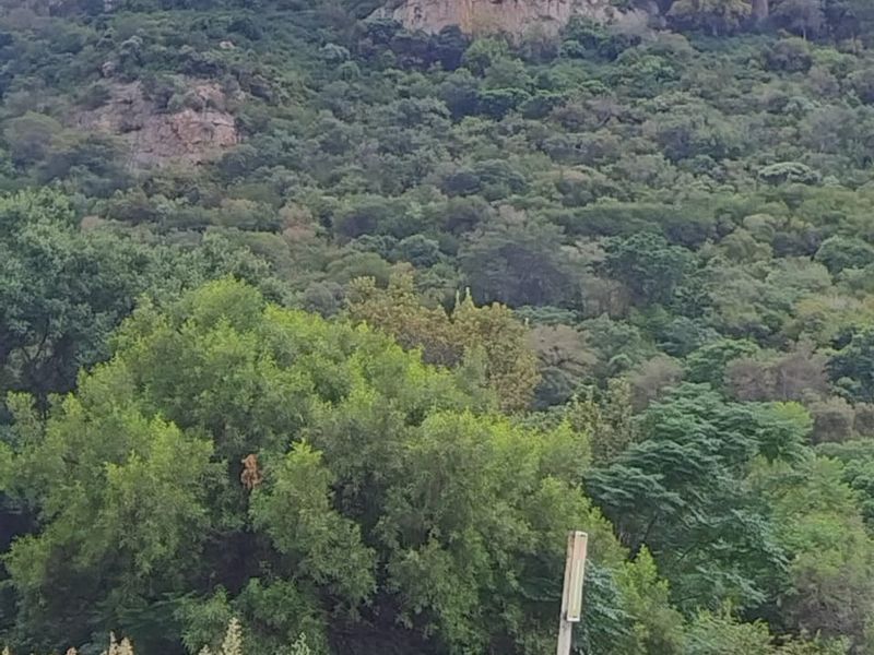 Beautifull stand with Mountain and Dam Views. - Photo 8