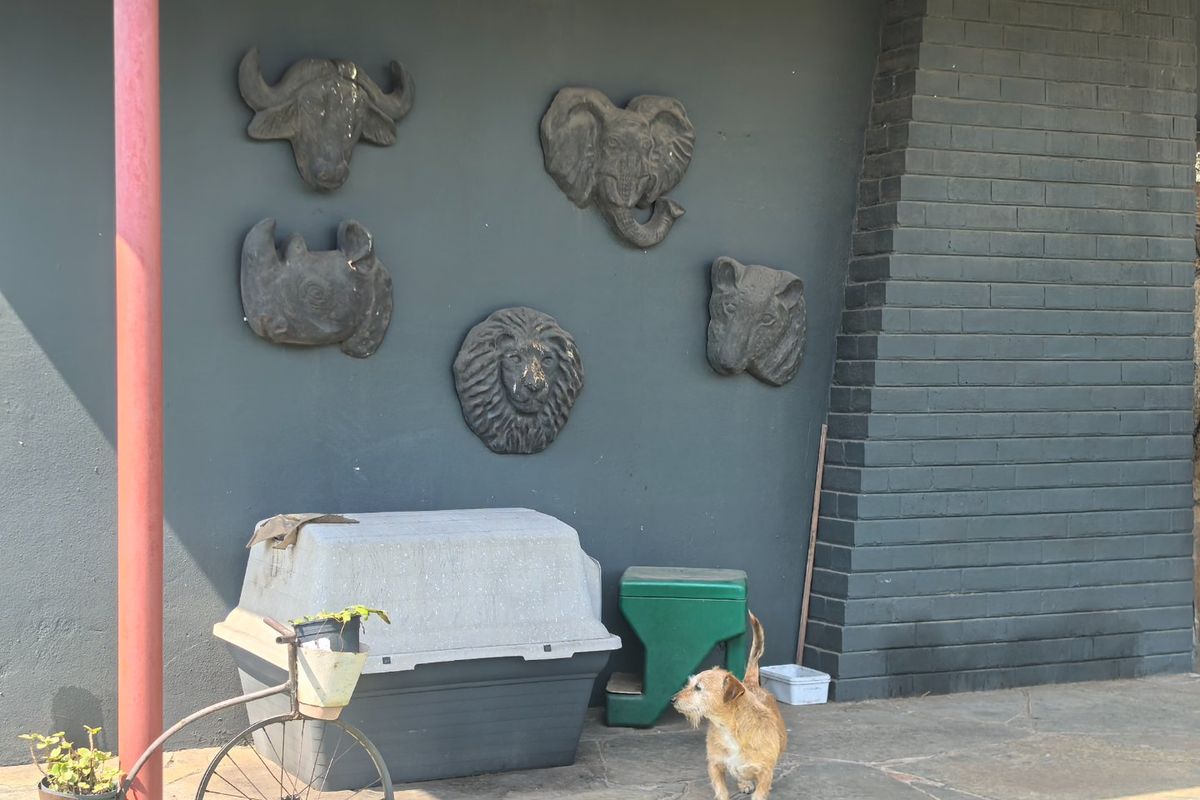 Prime property,Big yard for more extensions - Photo 2