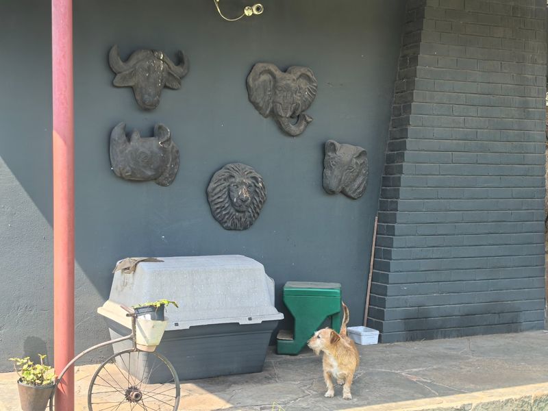 Prime property,Big yard for more extensions - Photo 2