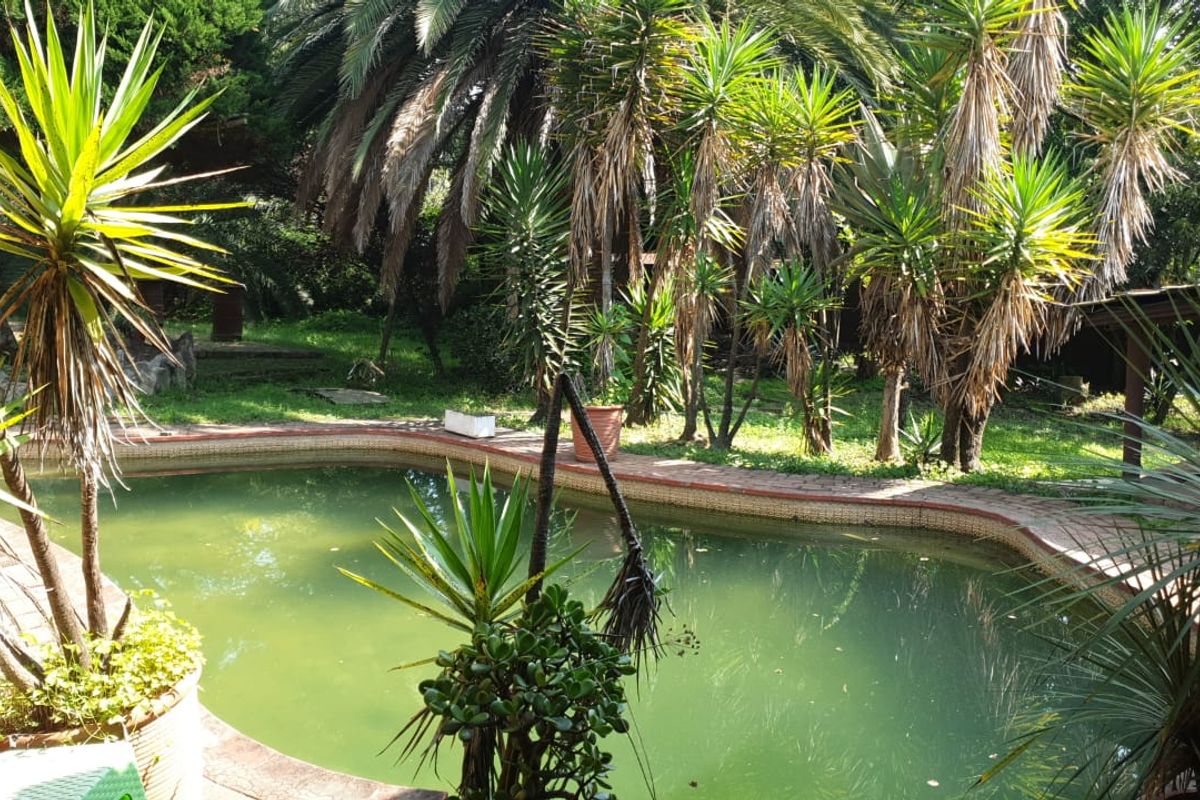 Spacious Family Home with Great Potential & Entertainment Features - Photo 4