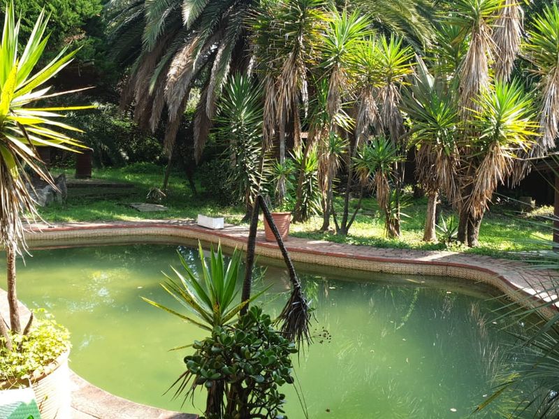 Spacious Family Home with Great Potential & Entertainment Features - Photo 4