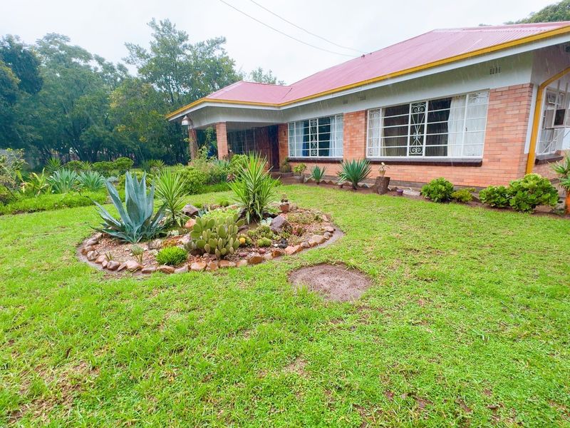 A single-story brick house featuring a metal roof, security bars on windows, and a well-maintained front garden with established landscaping.