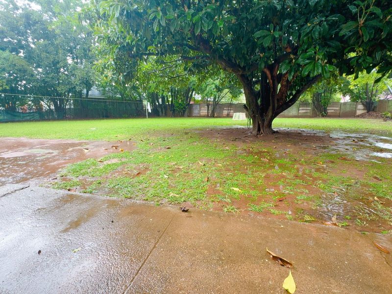 A spacious rear garden featuring a large mature tree, concrete patio area, and perimeter boundary walling, currently experiencing significant water accumulation.