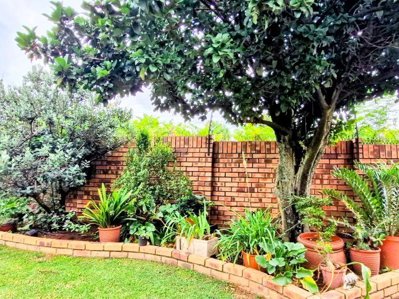 Charming Spacious   ,,,,,,,,,, 3 Bedrooms ,,2 Bathrooms, Double Garage  Pet Friendly Garden  Open Plan Townhouse - Photo 4