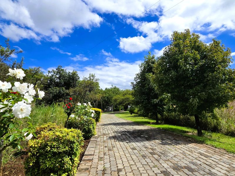 Prime 17.7 Hectare Income-Generating Smallholding with 3 Seperate Houses for Sale in Mooiplaats, Pretoria a Rare Lifestyle & Investment Opportunity - Photo 2