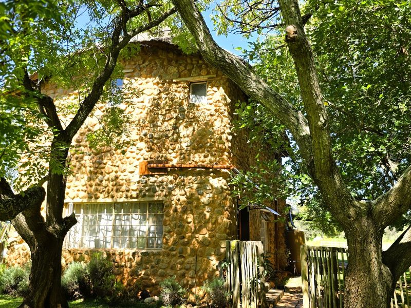 Prime 17.7 Hectare Income-Generating Smallholding with 3 Seperate Houses for Sale in Mooiplaats, Pretoria a Rare Lifestyle & Investment Opportunity - Photo 6