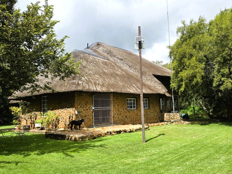 Rear view of a traditional farmhouse featuring stone exterior walls, a classic thatch roof, and a stone patio set within a spacious garden.