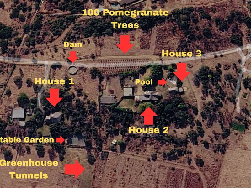 Aerial view of the farm property featuring three houses, a swimming pool, a dam, greenhouse tunnels, a vegetable garden, and a pomegranate orchard.