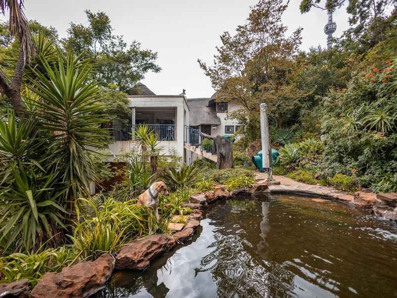 Exceptional Investment Property - 5 Bedroom Home with Extensive Accommodation in Auckland Park - Photo 1