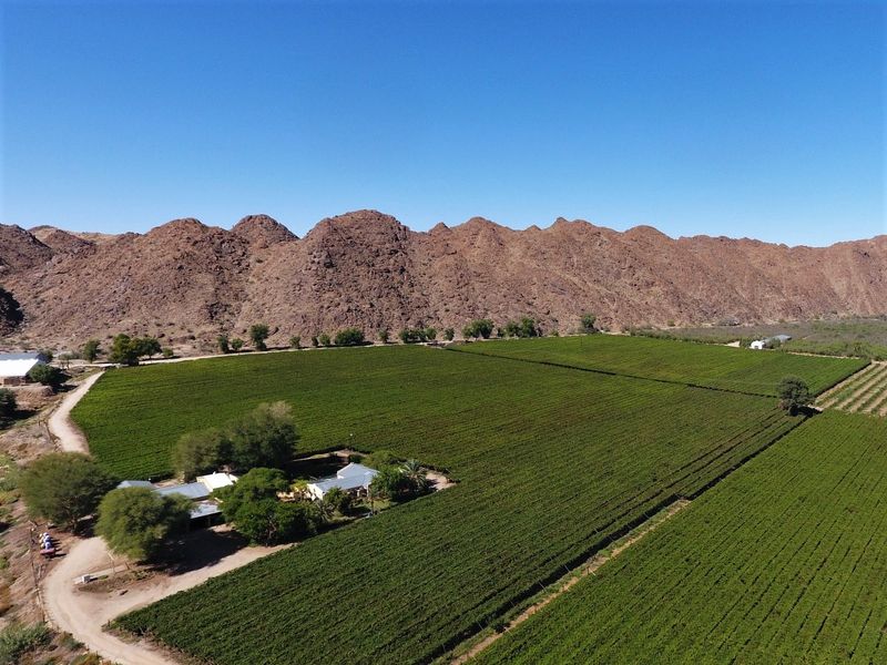 Aerial view of a large farm property featuring extensive vineyards, established farm buildings, and a scenic mountain backdrop.
