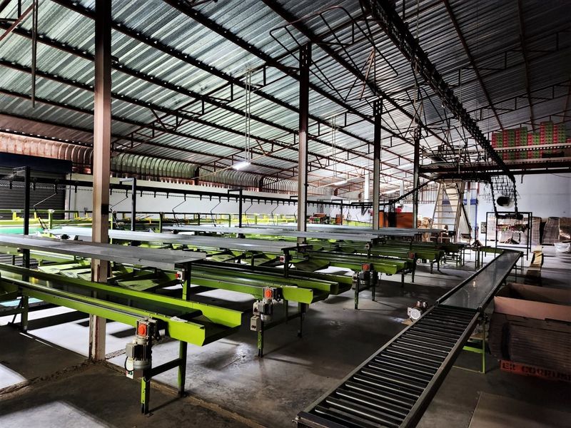 Large industrial utility space featuring a high corrugated metal roof, steel structural supports, and an extensive integrated conveyor belt system for processing operations.