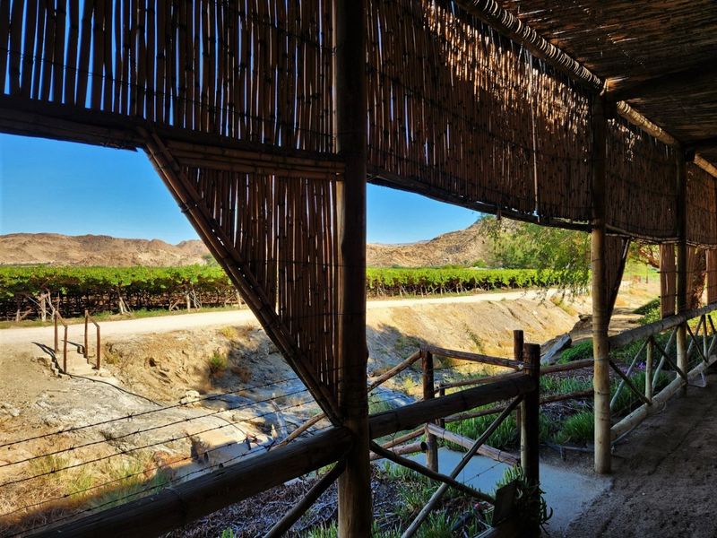 A rustic covered patio area featuring bamboo screening and timber supports, offering scenic views over the farm's vineyard and landscape.
