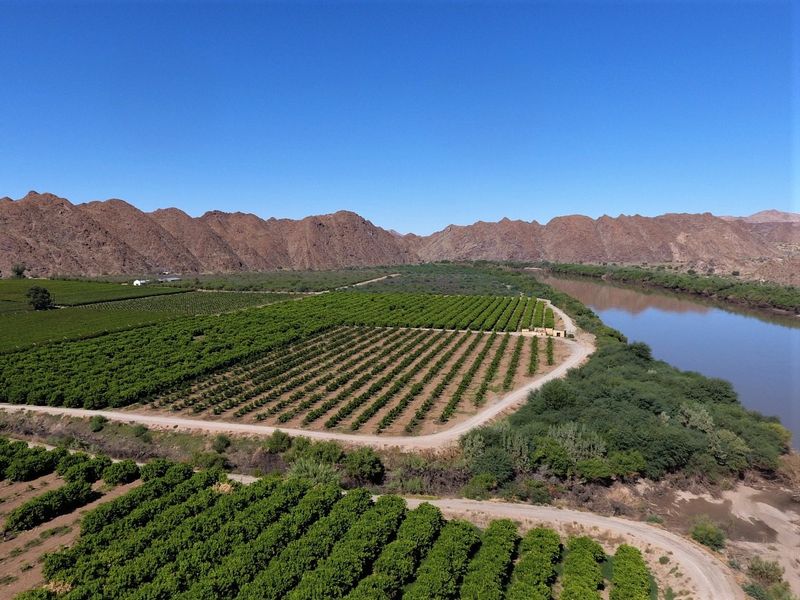 Aerial view of a large-scale agricultural farm featuring extensive orchards, established irrigation infrastructure, and direct river frontage against a mountain backdrop.