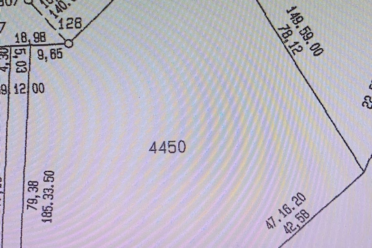 A digital survey or cadastral map showing the boundary dimensions and layout of residential plot 4450.