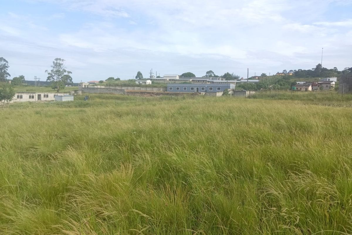 0 Bed Vacant Land in Ongoye, Empangeni Rural for Sale - Photo 4